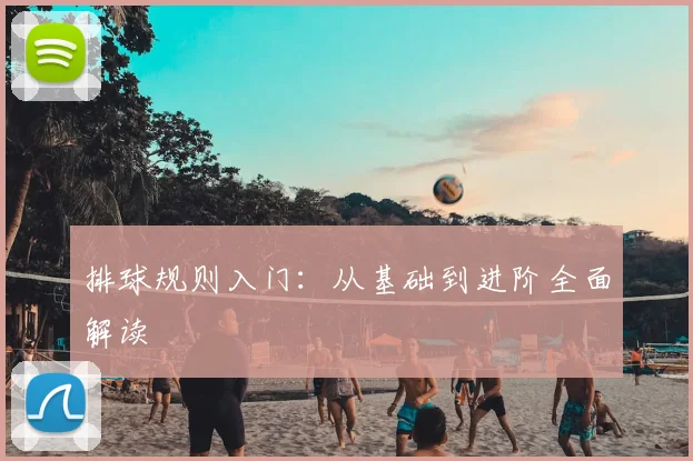 排球规则入门：从基础到进阶全面解读