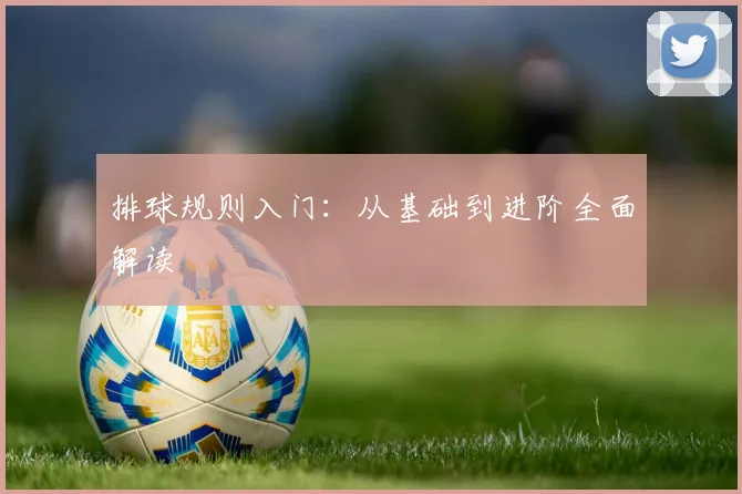 排球规则入门：从基础到进阶全面解读